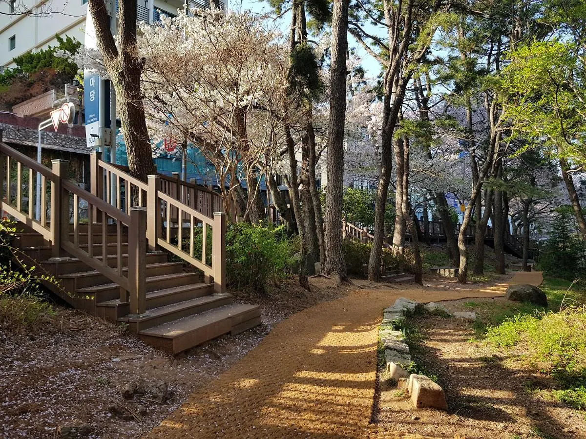 **  Suntree Hotel Busan Südkorea