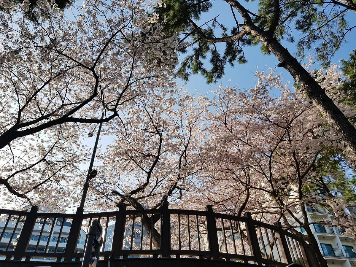 Suntree Hotel Busan