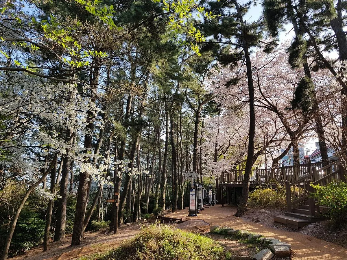 Suntree Hotel Busan